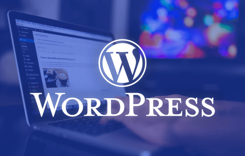 xây dựng website