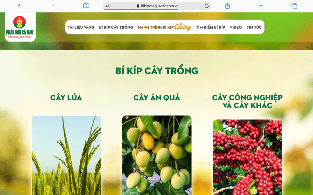 EZ Fast Tech thiết kế website & phần mềm cho dự án phân bón Cà Mau, tối ưu hóa hiệu quả kinh doanh v.