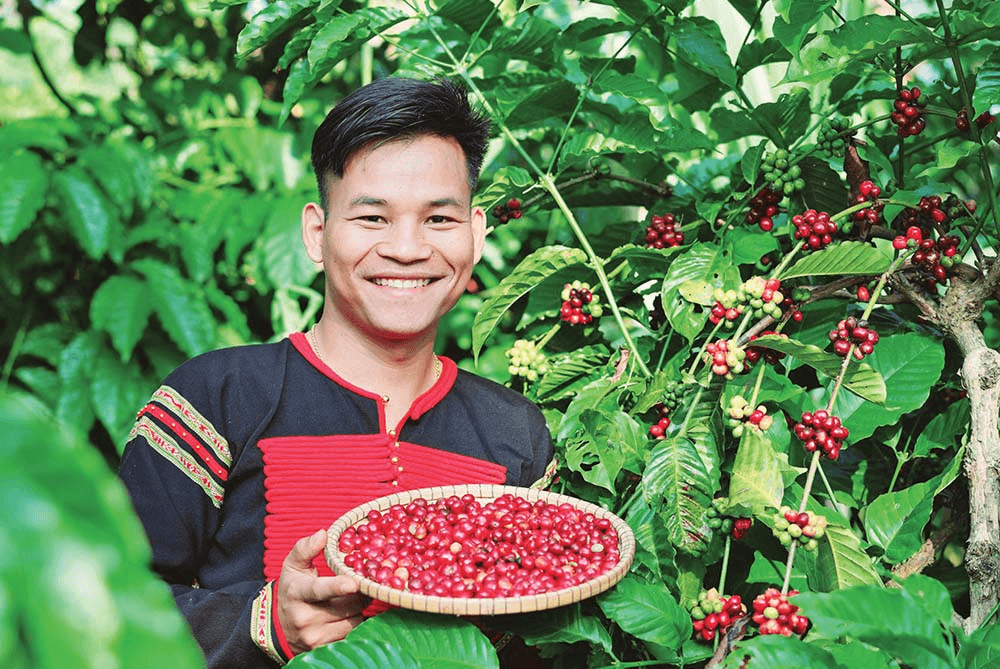 Dự Án Website Niê Ê Đê Coffee 2 website